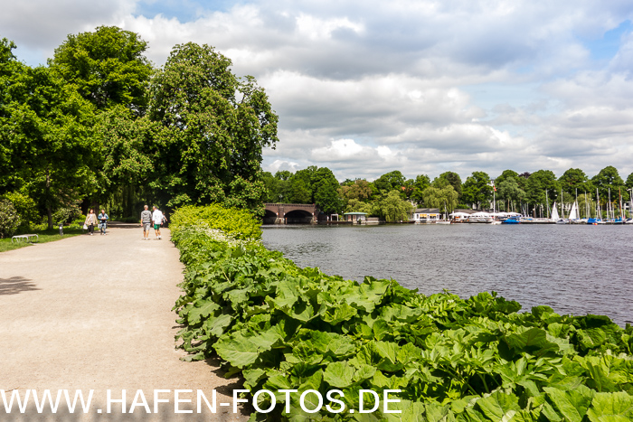 Hamburger Alster 52